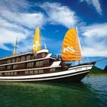 cruises