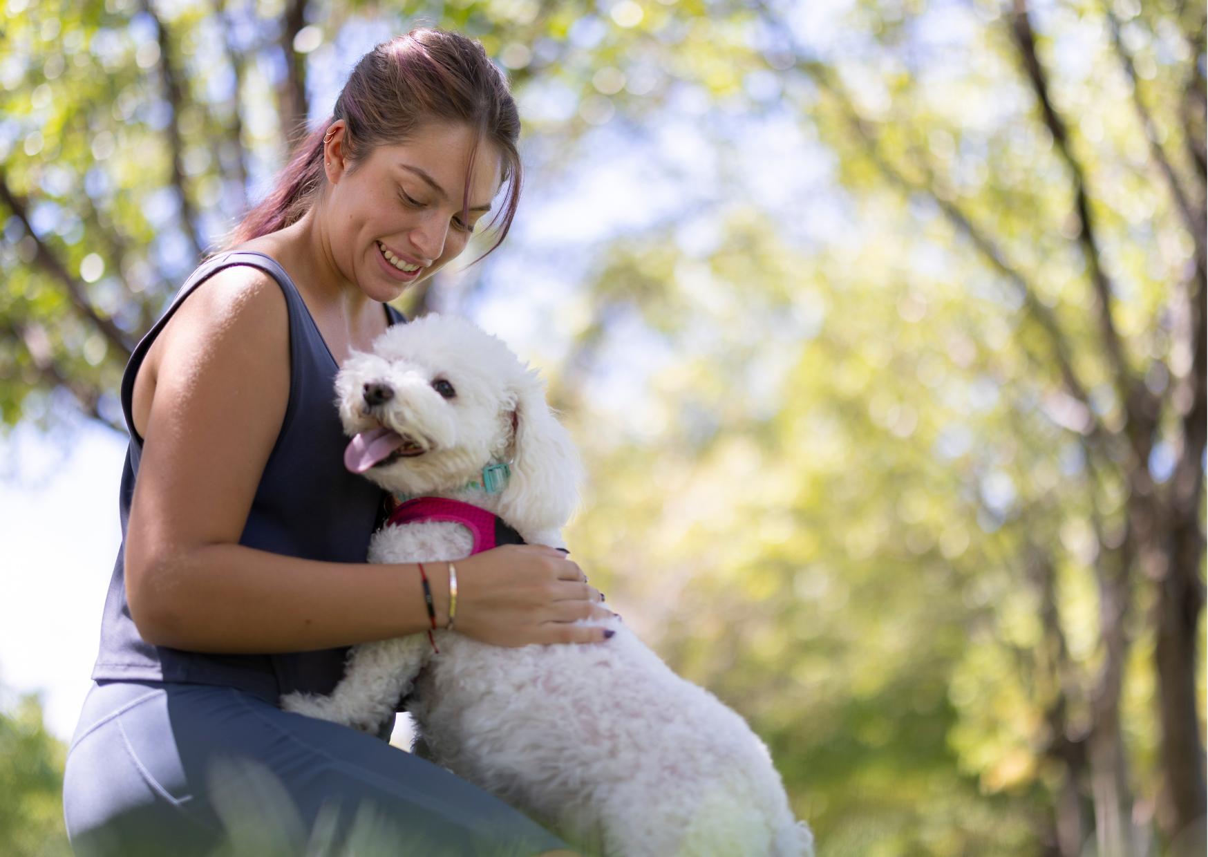 Embark on an Unforgettable Vacation with Your Dog in Pet-Friendly Lodging in Branson, MO!