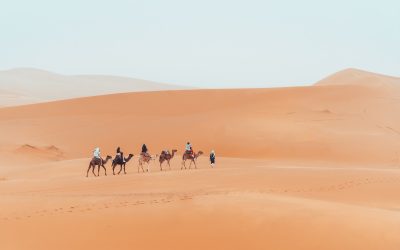 Benefits of Choosing a Tour Package From a Marrakech Travel Agency