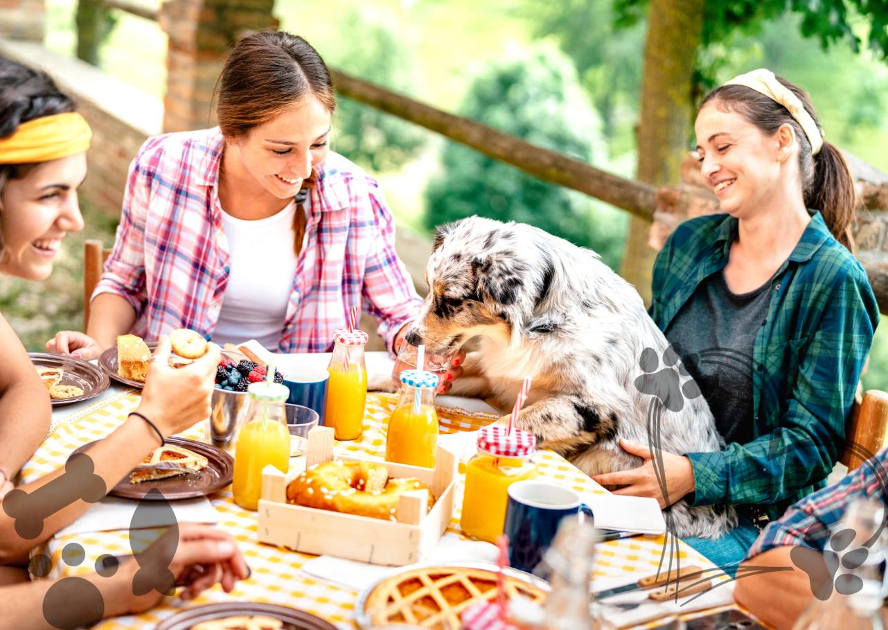 View of Dining Out with Your Dog: Ultimate Tips for an Unforgettable Experience ...