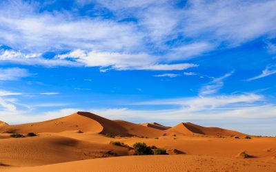 Customizing Your Dream Moroccan Escape with a Top Marrakech Travel Agency